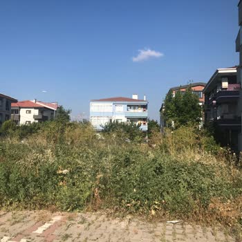 Balıkesir Büyükşehir Belediyesi Yan Arsanın Arsasını Temizlememesi Hk.