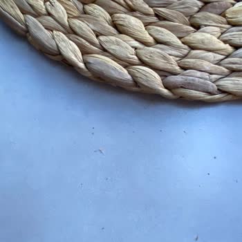 IKEA Hasır Supla Ve Hasır Peçetelik Böcekli Çıktı