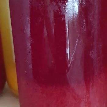 Avliya Boşnak Mutfağı Avliya Boşnak Böreği Komposto Şikayeti