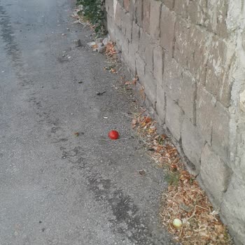 Tomarza Belediyesi Pazar Yeri Çok Kirli