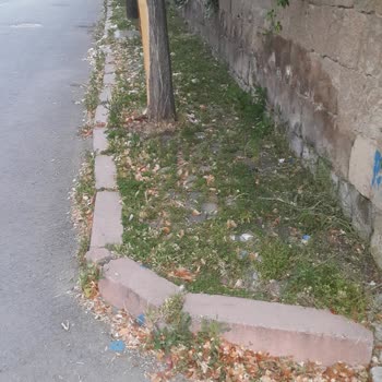 Tomarza Belediyesi Pazar Yeri Çok Kirli