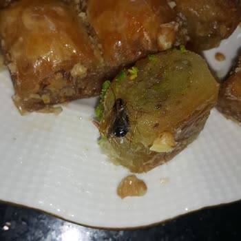 Baklavacı Anteplioğlu Baklavadan Böcek Çıktı
