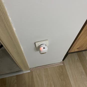 Raid Sinek İlacı İşe Yaramıyor