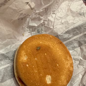 McDonald's Böcekli Hamburger Denediniz Mi?