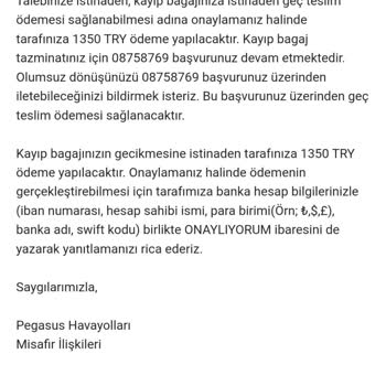 Pegasus Pişmanlıktır. 2 Aydır Valizimi Ve Eşyamı Kaybetti,