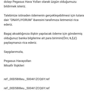 Pegasus Pişmanlıktır. 2 Aydır Valizimi Ve Eşyamı Kaybetti,