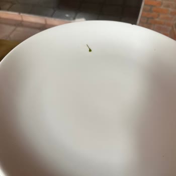 Historical Museum Resort Rezil Bir Otel Deneyimi