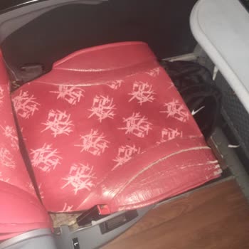 Antalya Net Seyahat Alanya İstanbul Seferinde Böcek Sorunu!