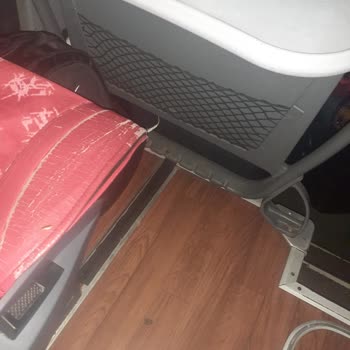 Antalya Net Seyahat Alanya İstanbul Seferinde Böcek Sorunu!