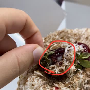 Özkuruşlar Market Bozuk Pasta