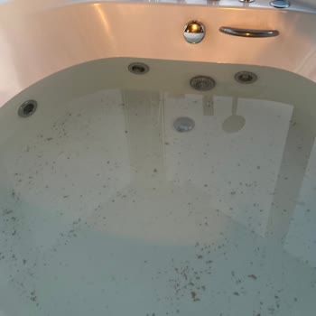 Cityloft 64 Ve 161 Sağlık Ve Hijyen Kontrolü Yok, Temizlik Yok!