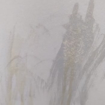 Güvenerek Aldığım Polisan Marka İç Cephe Boyası Leke, İz Bırakıyor