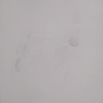 Güvenerek Aldığım Polisan Marka İç Cephe Boyası Leke, İz Bırakıyor