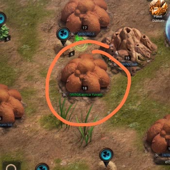 101 Okey Plus Bilet Tekliflerinde Bilet Vermedi