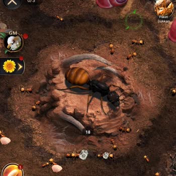 101 Okey Plus Bilet Tekliflerinde Bilet Vermedi