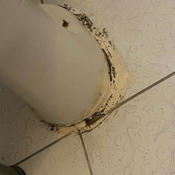 Etstur Müşterisine İnanmayan Müşteri Temsilcisi