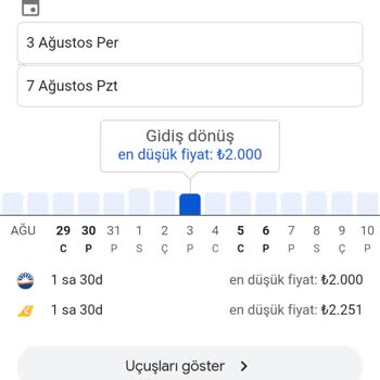 Sunexpress Hava Yolları Adana İzmir Yönü Uçak Bileti Pahalılığı