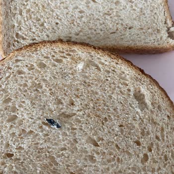 A101 UNO Tam Buğday Unlu Tava Ekmeği