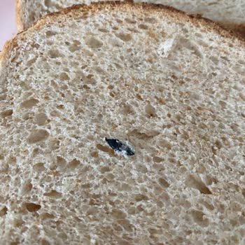 A101 UNO Tam Buğday Unlu Tava Ekmeği