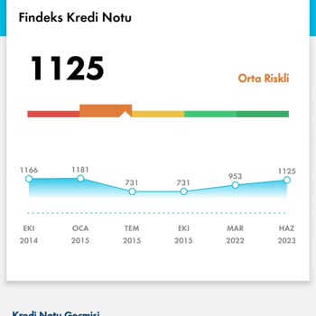 Findeks Raporum Risk Aralığında Sorun Var