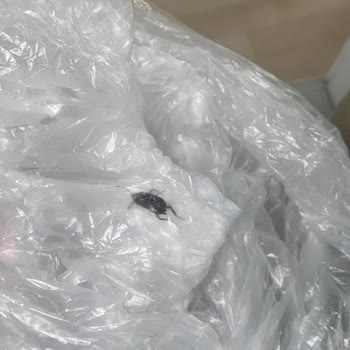 Sistem Halı Yıkama (İstanbul) Şikayetim