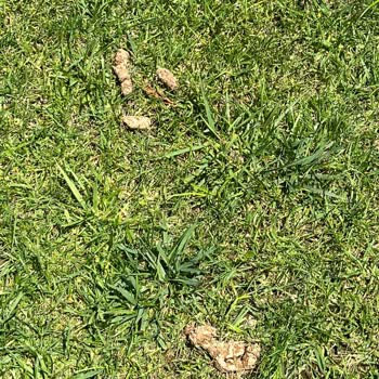 Real Love Villas Tatilimizi Mahvettiler!