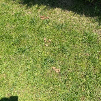 Real Love Villas Tatilimizi Mahvettiler!