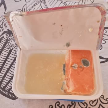 Pınar Süzme Peynir Bozukluğu