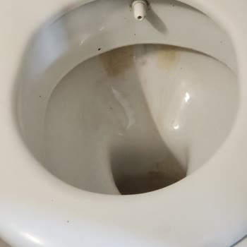 Ares Dream Hotel, Hayatımın Hatası.