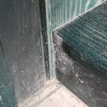 Ares Dream Hotel, Hayatımın Hatası.