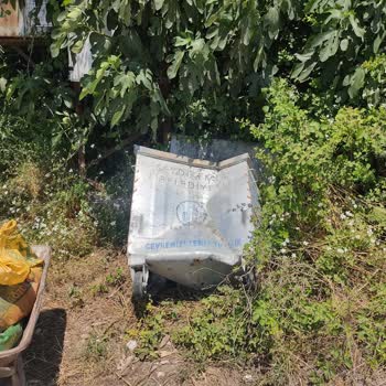 Seydikemer Belediyesi Güneşli Mahallesi Gültepe Sokakta Ki Çöp Kovası Değişimi İstiyor