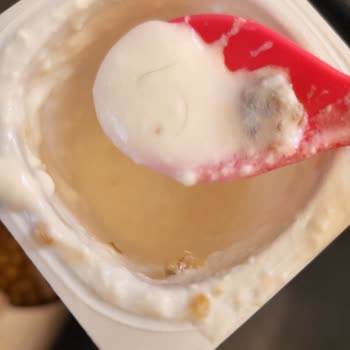 Activia Yoğurt İçerisinden Kıl Çıktı