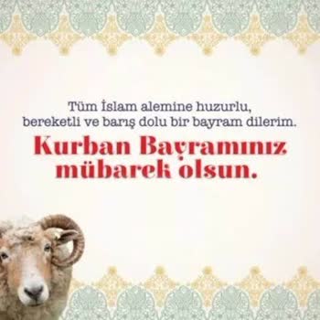 Tiktak Acil Ulaşın Lütfen