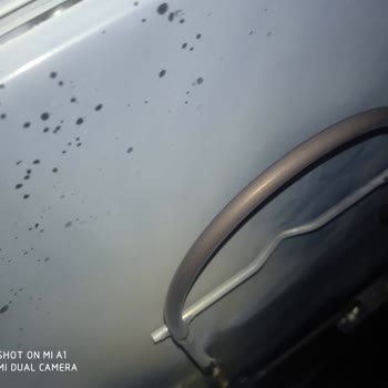 Alveus Ankastre Sette 20 Günde Patlayan Rezistans