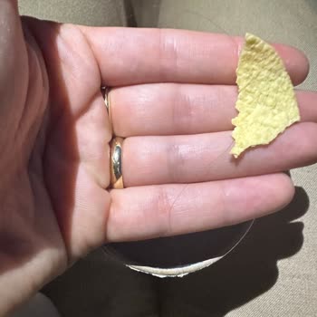 Pringless Cipsinin İçerisinde Saç Teli!