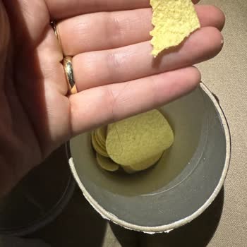 Pringless Cipsinin İçerisinde Saç Teli!