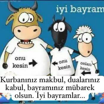 Betine Deneme Bonusu Paramı Vermiyor