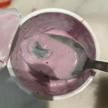 Sek Süt Quark Yaban Mersinli İçinden Küf Çıktı