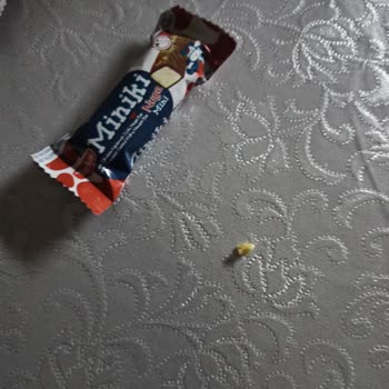 Torku Kemik Parçası Çıktı