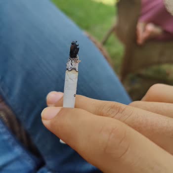 Philip Morris Sigaralarında Yabancı Madde Çıkıyor
