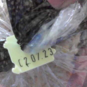 UNO Ekmeğin SKT'si Dolmadan Küflenmesi