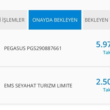 Pegasus Ems Seyahat Turizm Bilet İptal Ve İade Sorunu