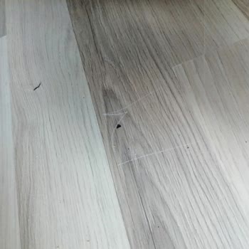 Ergül Mobilya Teslimatta Özensiz Davranılması Ve Firma İlgisizliği