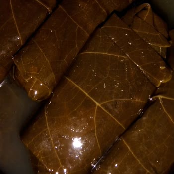 Gurme212 Dünyanın En Kötü Sarması