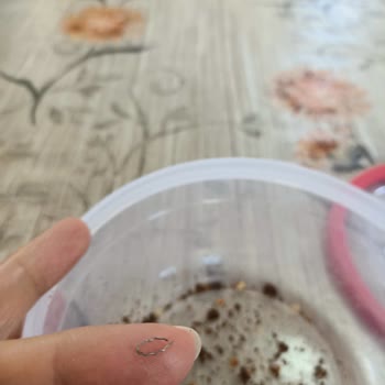 Eti Gıda Eti Burçak Bisküvi İçinden Çıkan Metal Parça