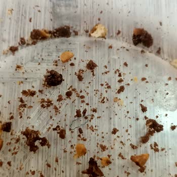 Eti Gıda Eti Burçak Bisküvi İçinden Çıkan Metal Parça