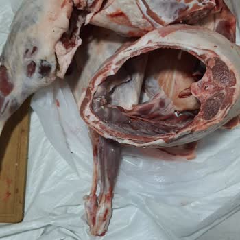 Carrefour SA'dan Aldığım Kurban Kesimi Tam Bir Pişmanlık