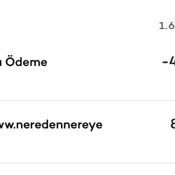 Neredennereye.com Ödeme Aldılar Fakat Bilet Satmadılar