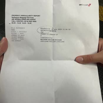 Air Serbia Kayıp Valizler Hakkında