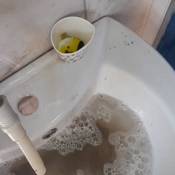 The Geyik Dersim Hizmet Sıfır!